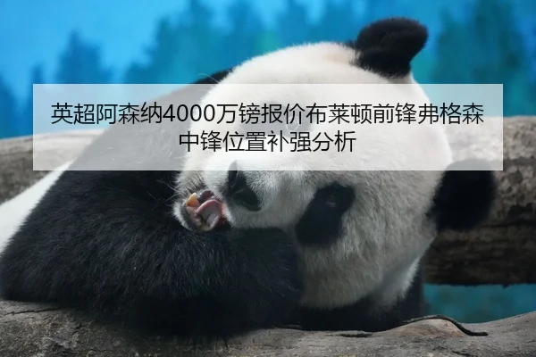 英超阿森纳4000万镑报价布莱顿前锋弗格森中锋位置补强分析